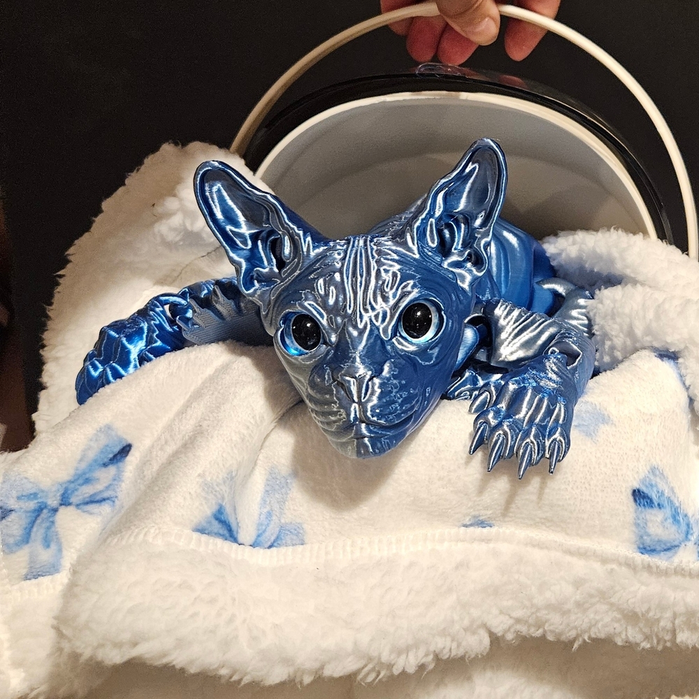 Kitten In Cradle